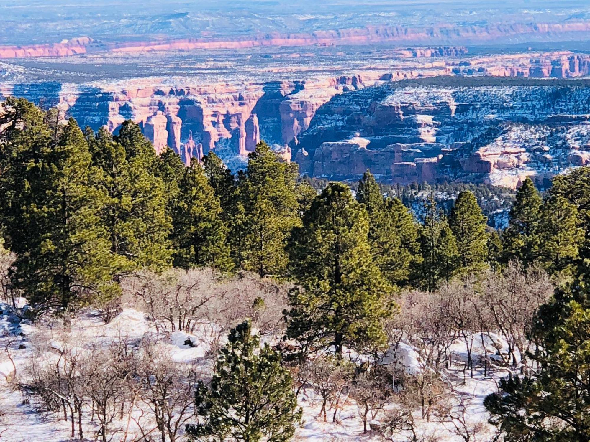 Cedar Canyon 3*